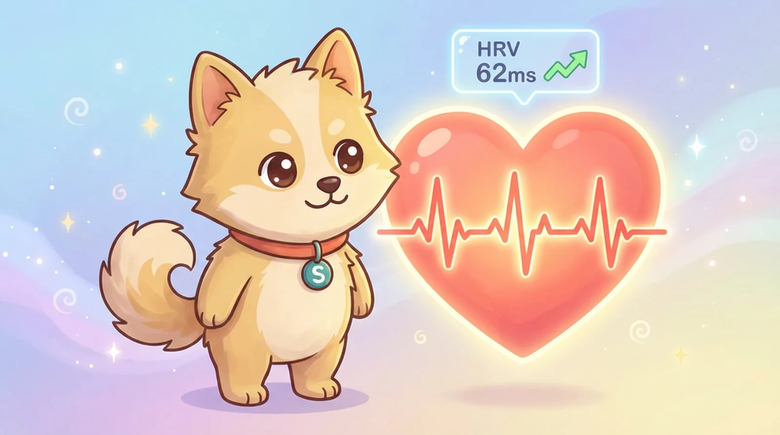 Heart Rate Variability: What HRV Reveals About How You Age